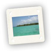 Saona (12).jpg